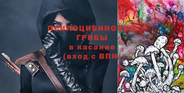 spice Костерёво