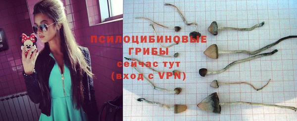 spice Костерёво