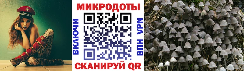 наркошоп  Назрань  Галлюциногенные грибы мицелий 