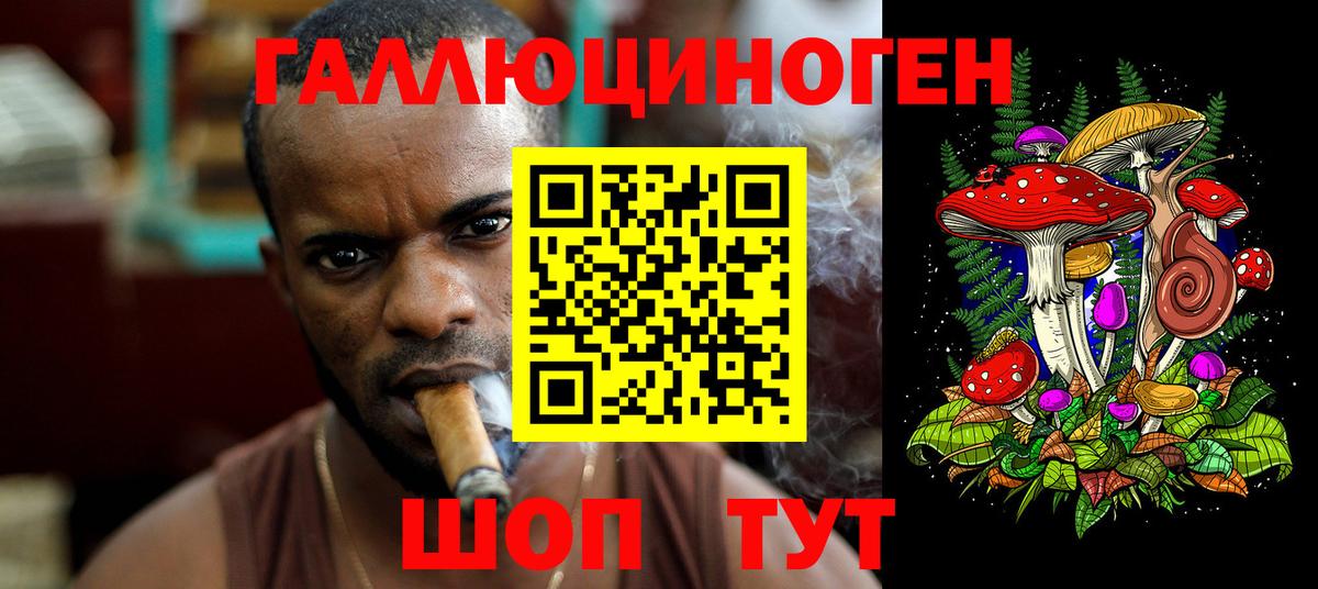 Галлюциногенные грибы Cubensis Назрань