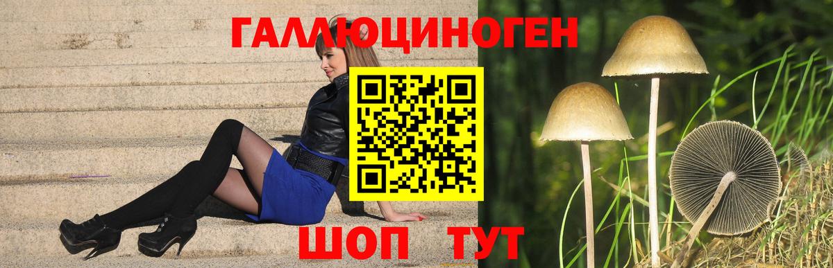 купить наркоту  Галлюциногенные грибы Psilocybe  Галлюциногенные грибы Magic Shrooms  Вход с VPN  Назрань 