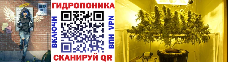 где найти наркотики  Назрань  Канабис LSD WEED 